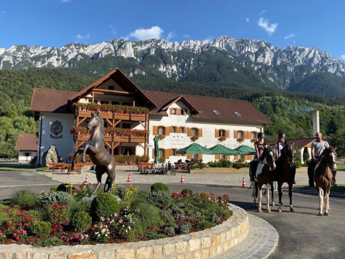 Popasul Craiului Villa Zărneşti Buitenkant foto