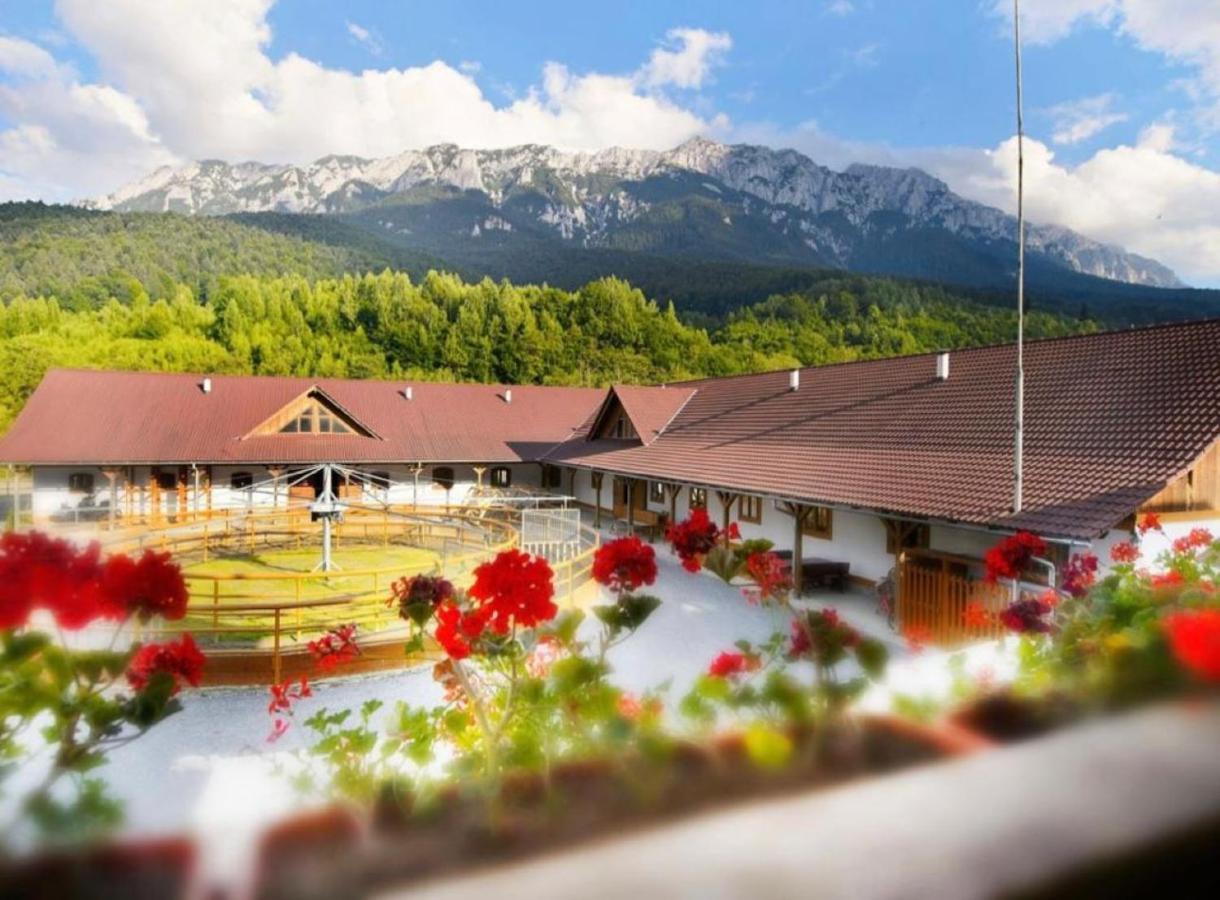 Popasul Craiului Villa Zărneşti Buitenkant foto