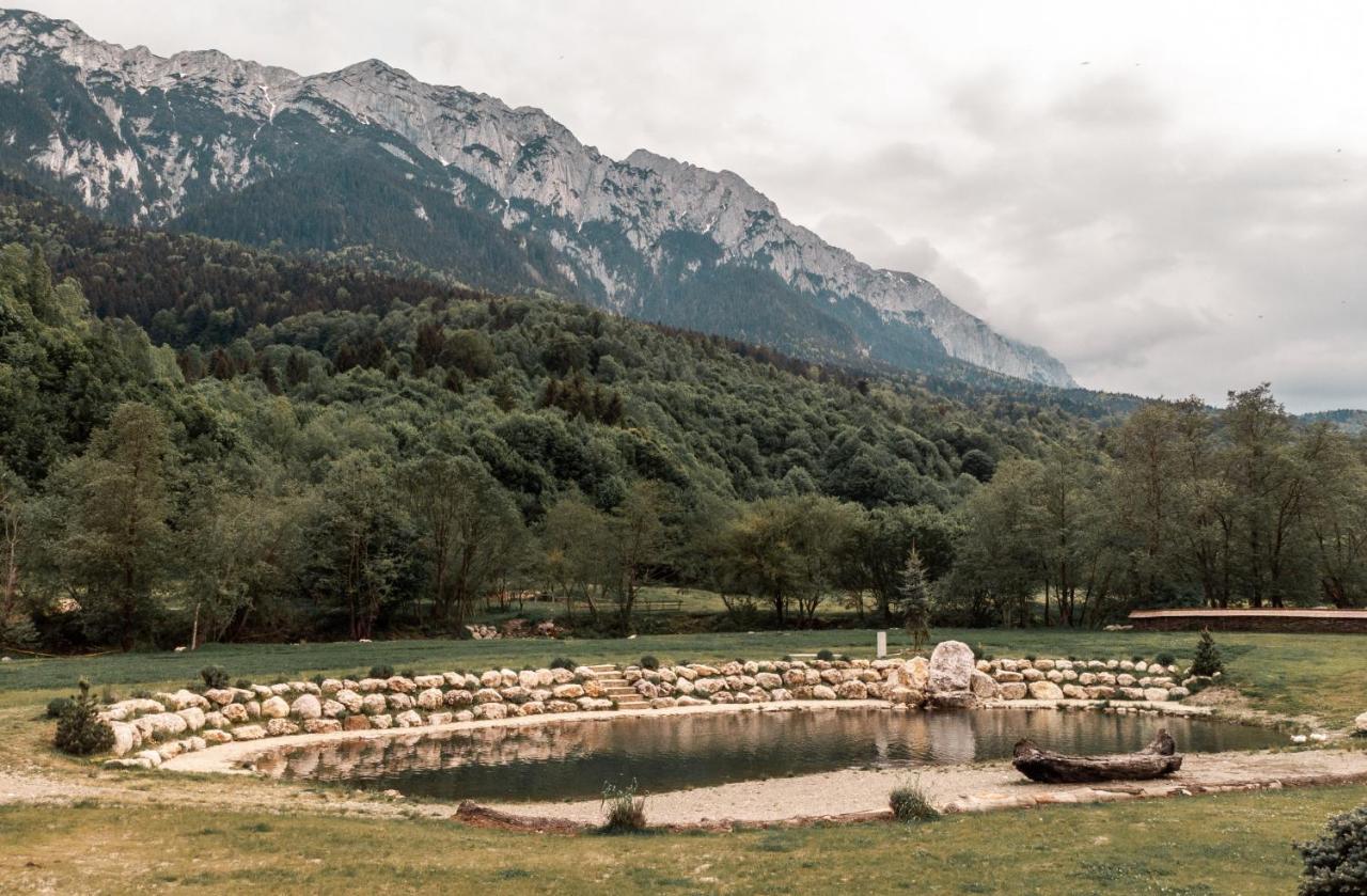 Popasul Craiului Villa Zărneşti Buitenkant foto