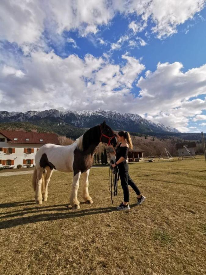Popasul Craiului Villa Zărneşti Buitenkant foto